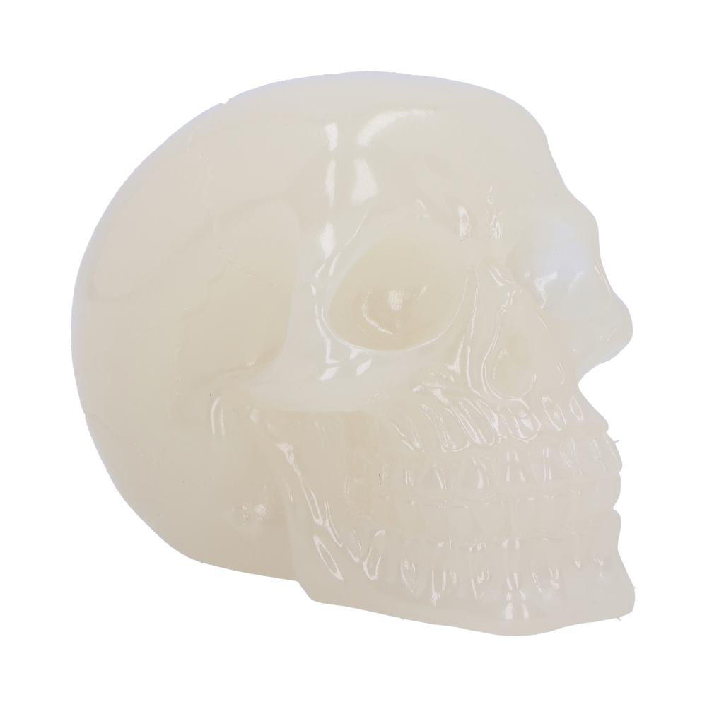 Phosphorescent Skull Figurine