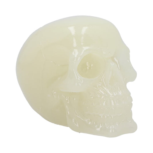 Phosphorescent Glow in the Dark Skull